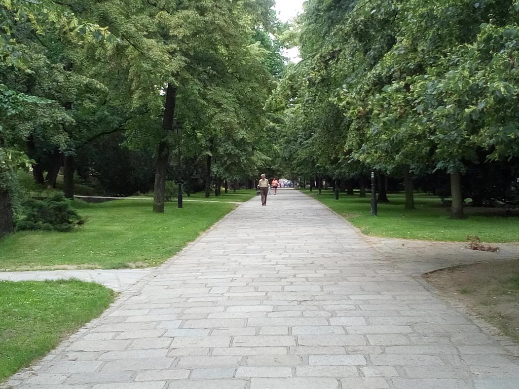 Manhattan Penzion Pisek  Exterior photo